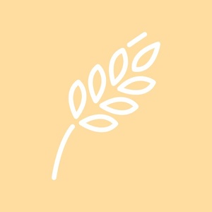 Pureo Baby от 4+ мес. / Зърнени